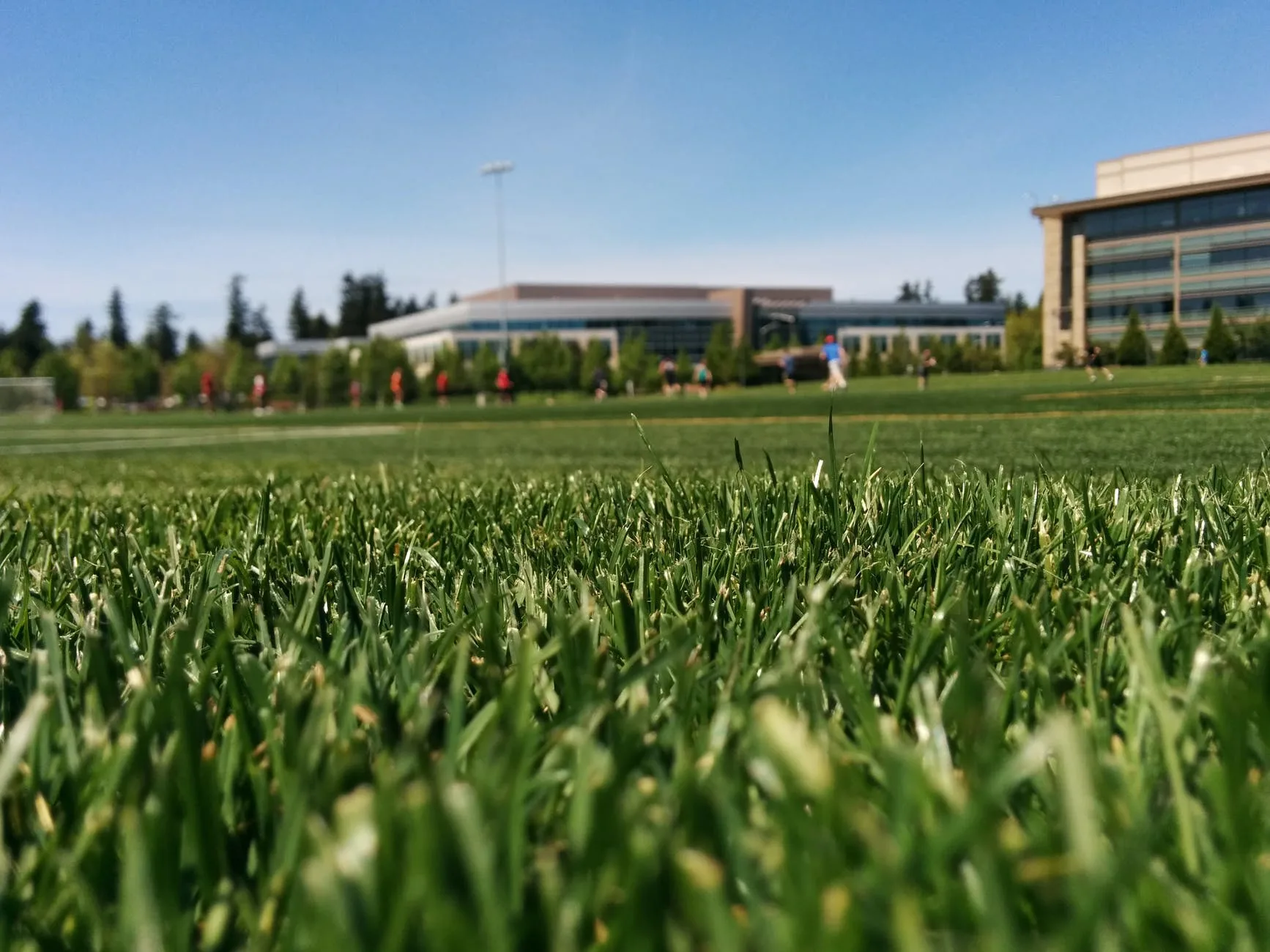 artificial grass joint tape sydney
