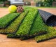 Coastal Synthetic Turf Our Grass Range Explained for Australian Homes