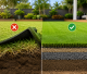natural grass sunshine coast property owners needed
